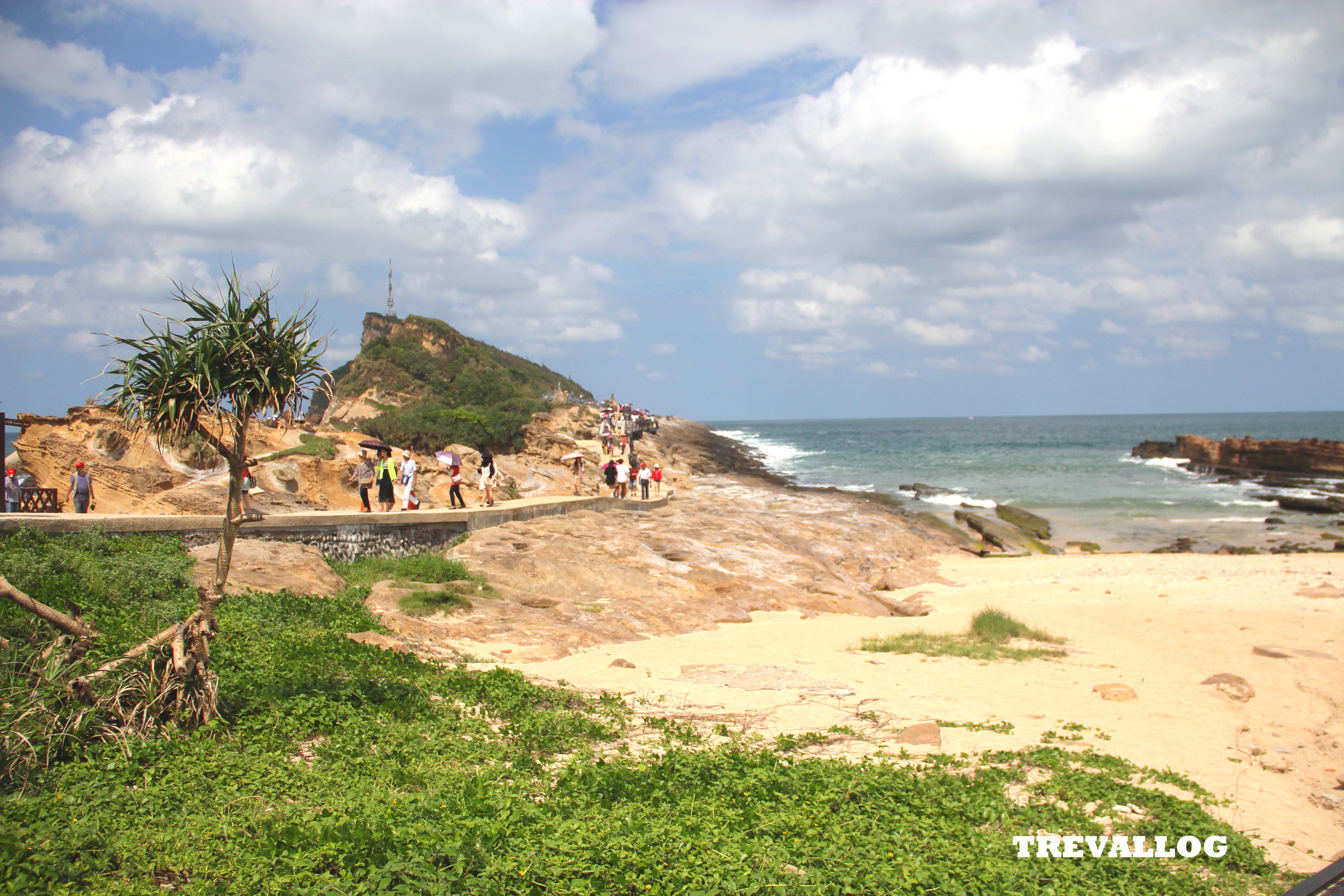 The coast at Yehliu Geopark, Taiwan