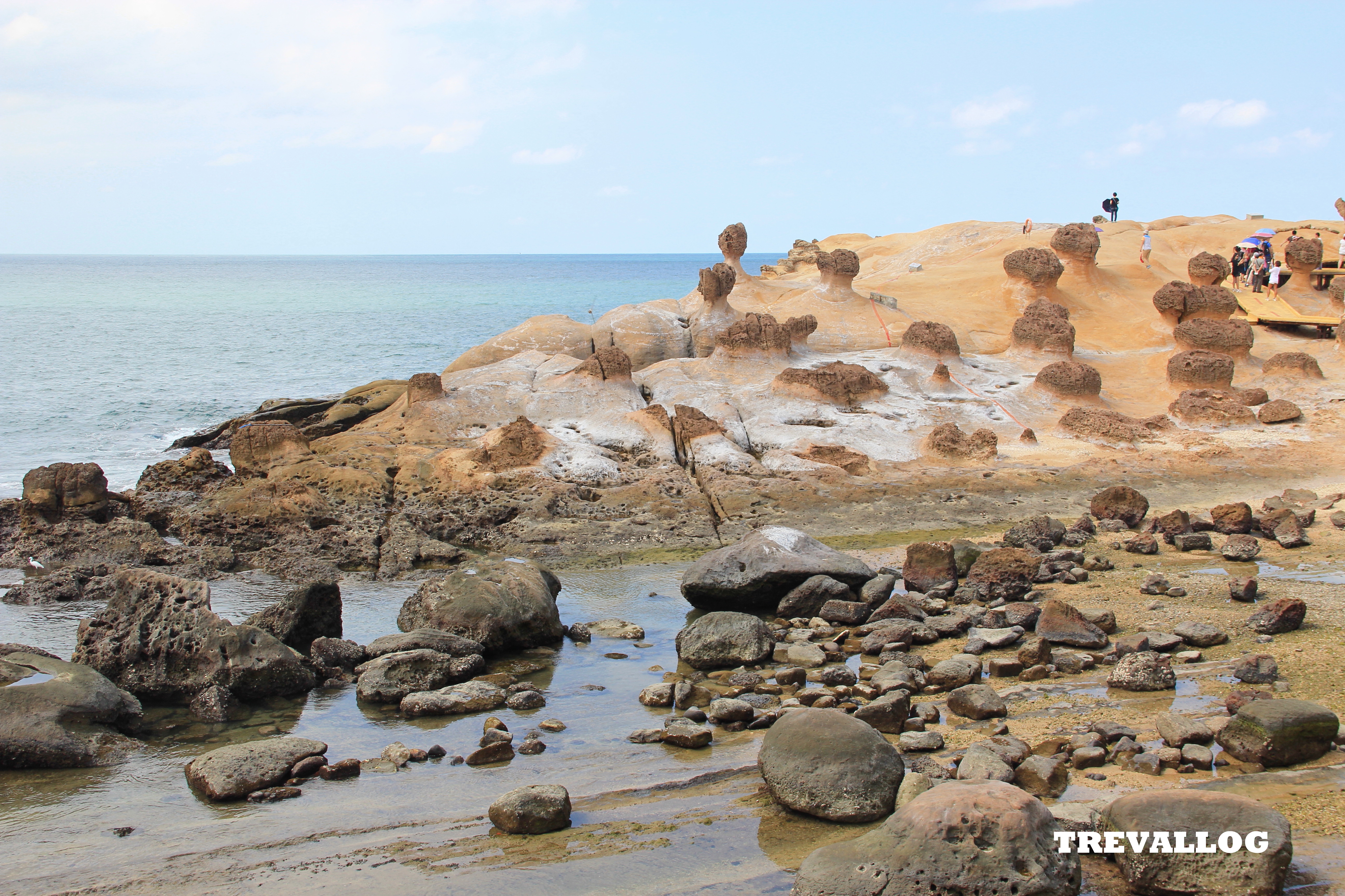 The coast at Yehliu Geopark, Taiwan