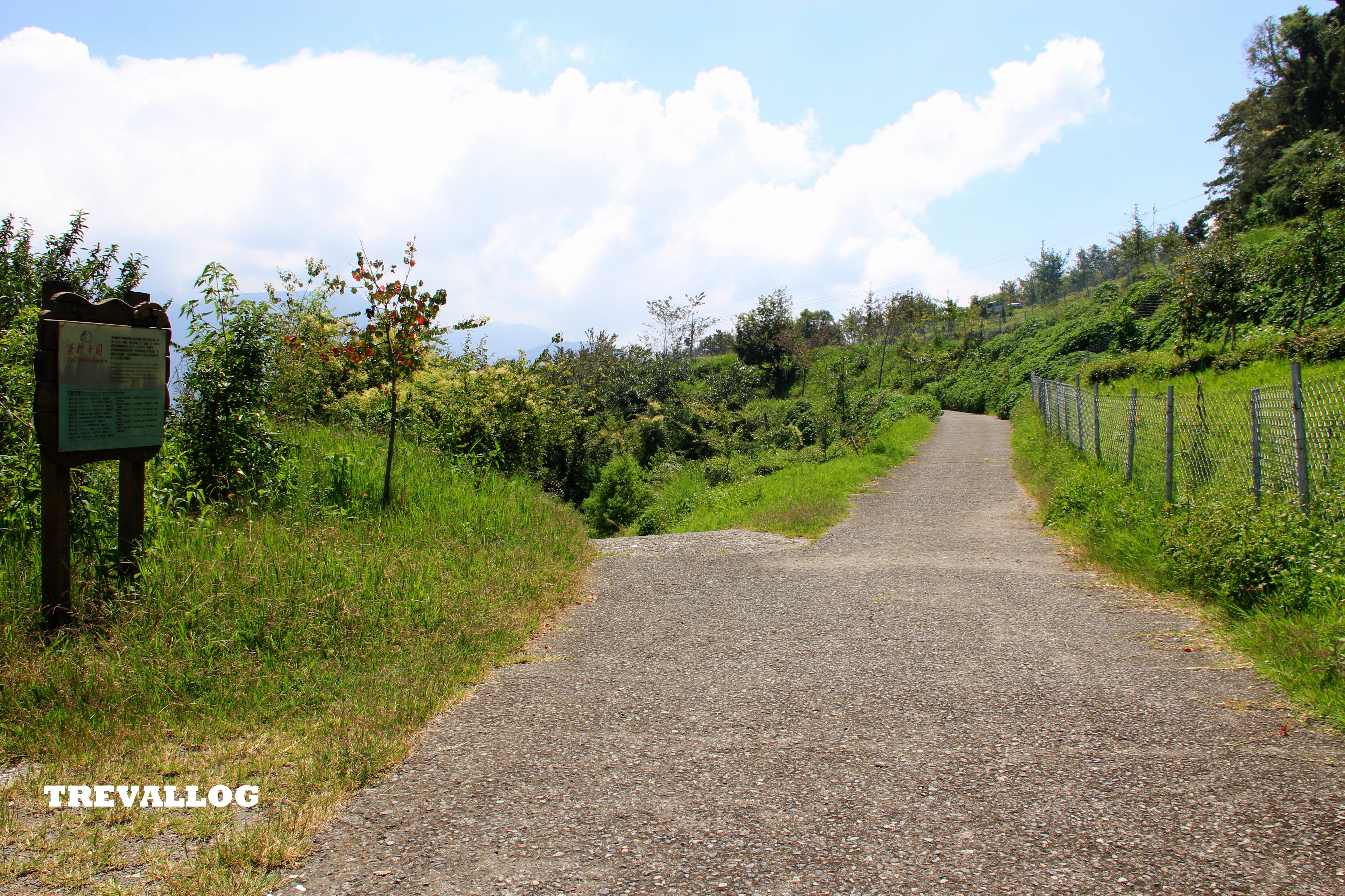 Trail No 3 (Tree Plantation), Cingjing, Taiwan