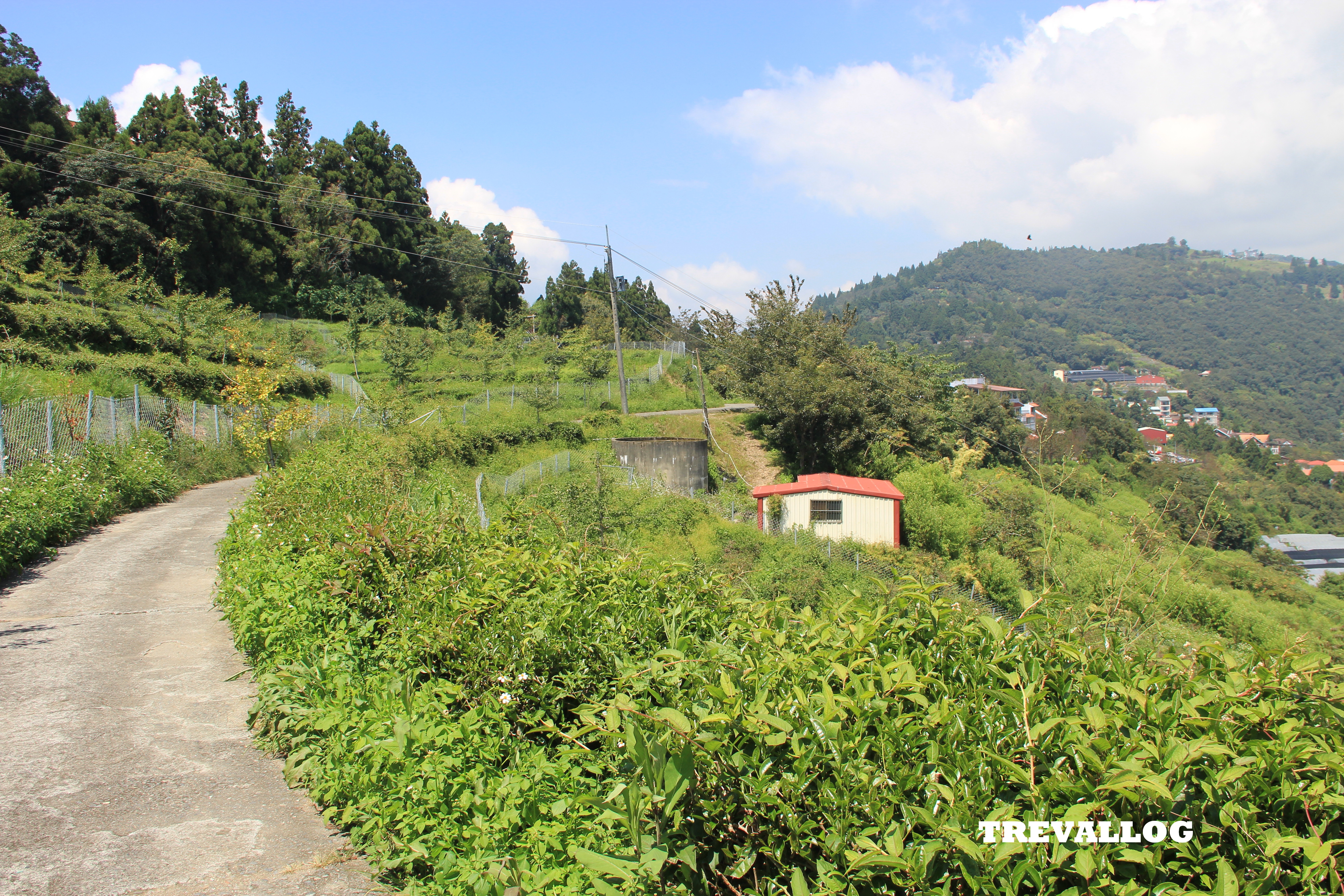 Trail at Cingjing, Taiwan