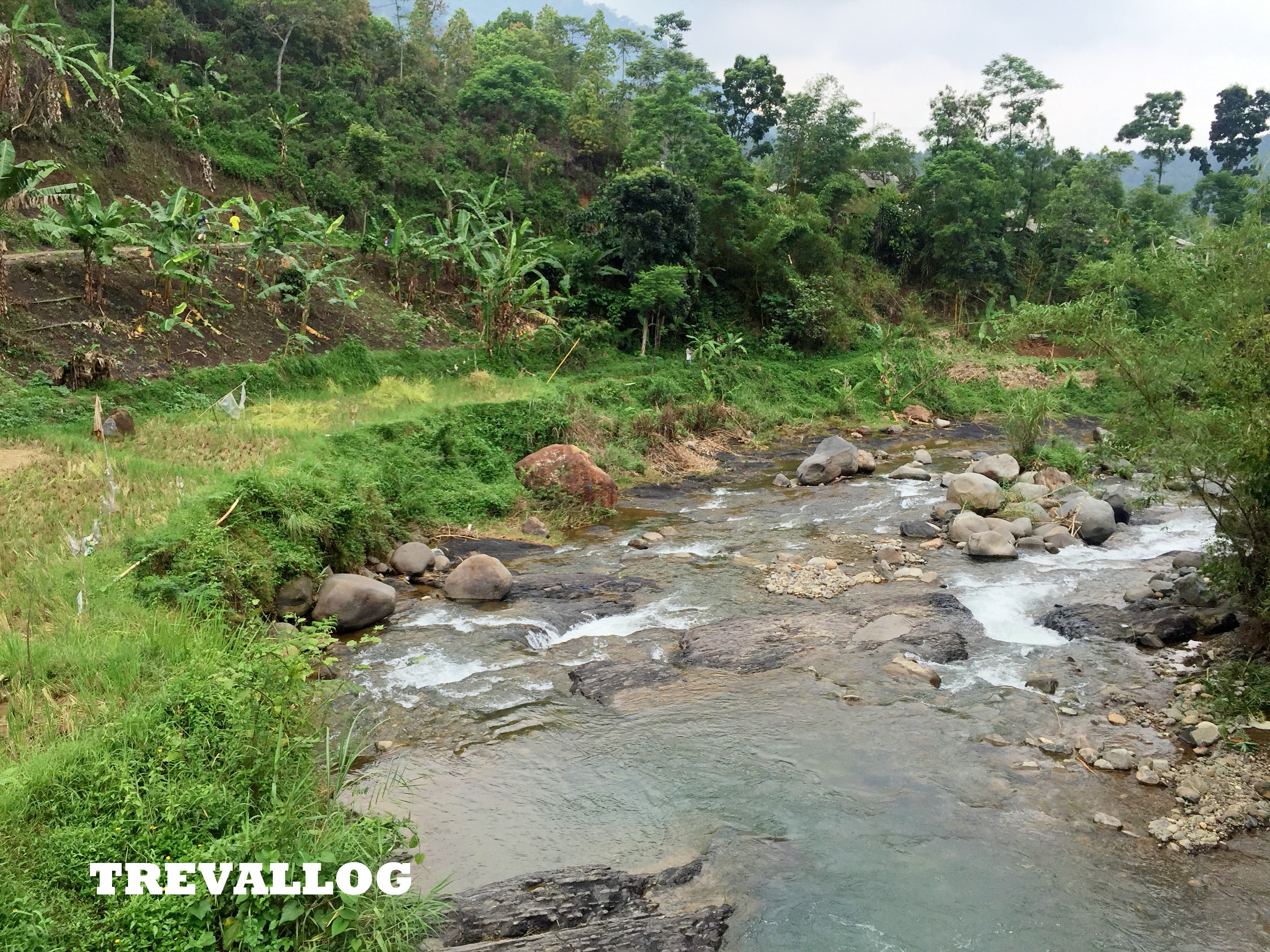 Trail run, trekking at Sentul, Jakarta, Indonesia