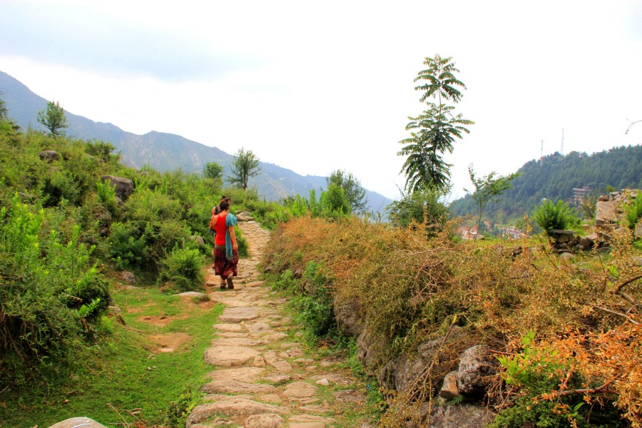 view in dharamkot, on the way to bhagsu