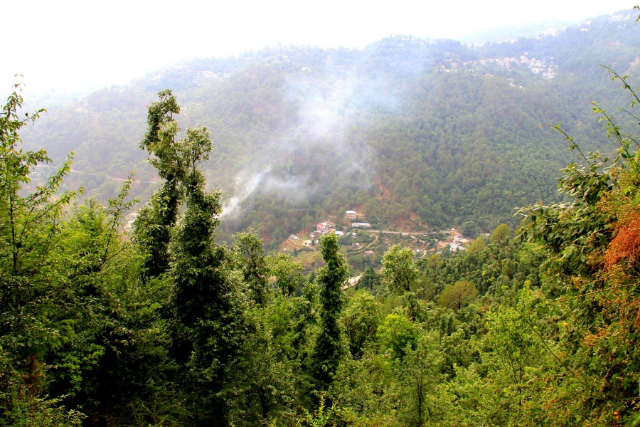 17 view from namgyal circle walk