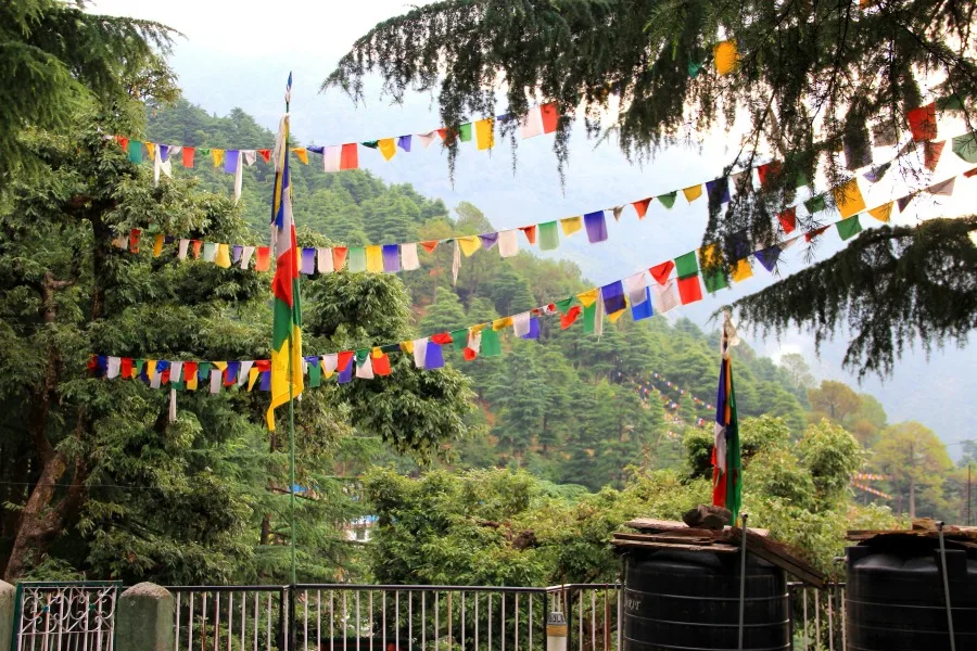 Prayer flags along the way to Tushita Meditation Centre, McLeod Ganj, Dharamsala, India