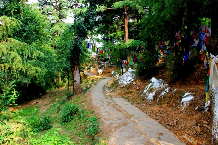 Namgyal Circle Walk at McLeod Ganj, Dharamsala, India