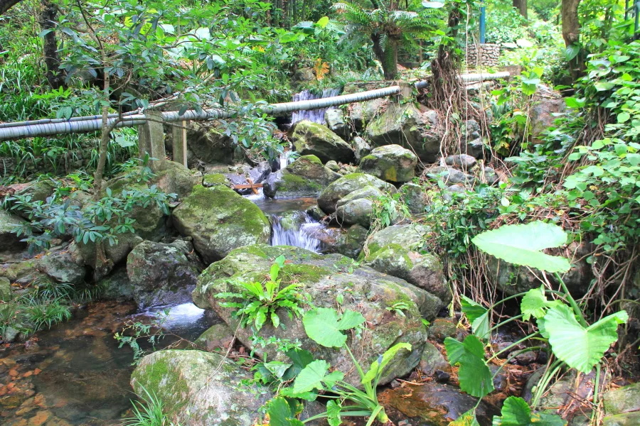 Small river at Kadoorie Farm & Botanic Garden, Hong Kong