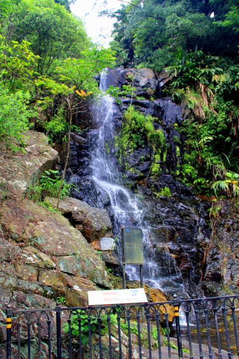 Lugard Falls at Peak Circle Walk, Hong Kong