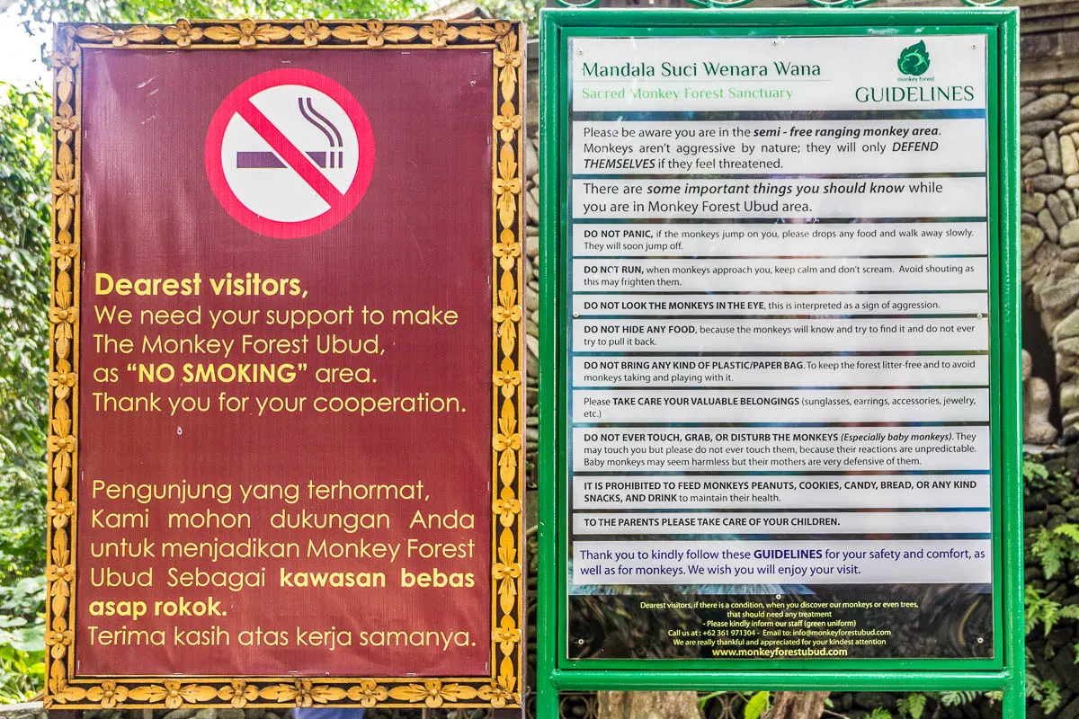 Guidelines for visiting Monkey Forest Ubud, Bali