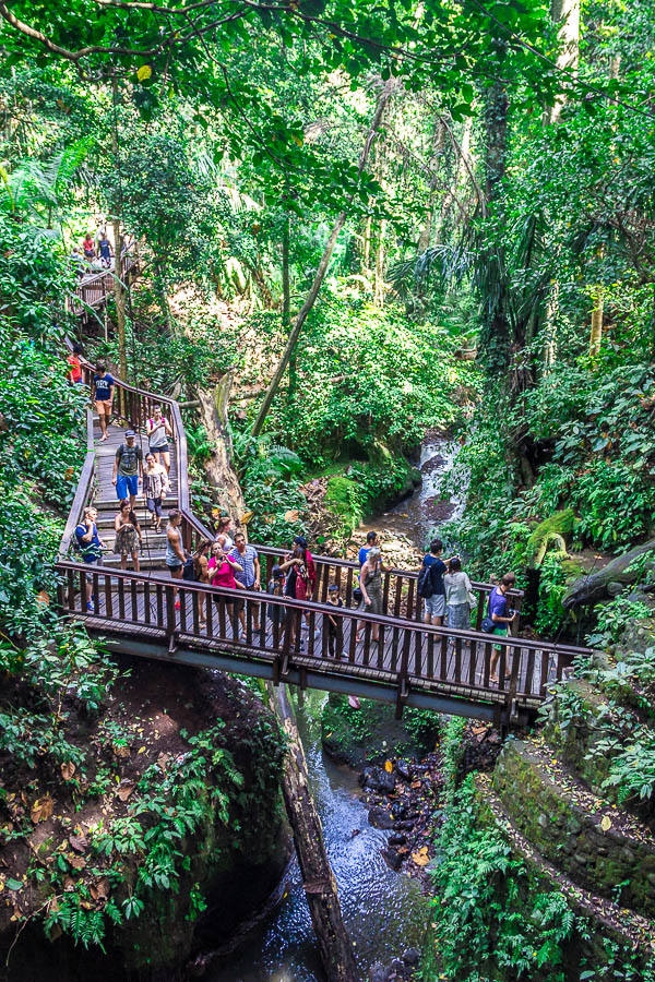 River and wooden trail at Monkey Forest Ubud, Bali