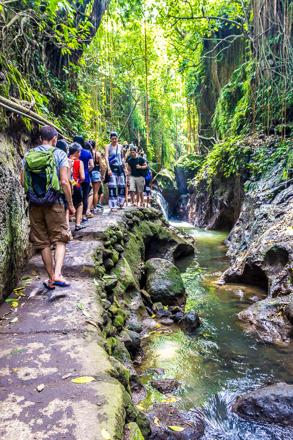 River at Monkey Forest Ubud, Bali