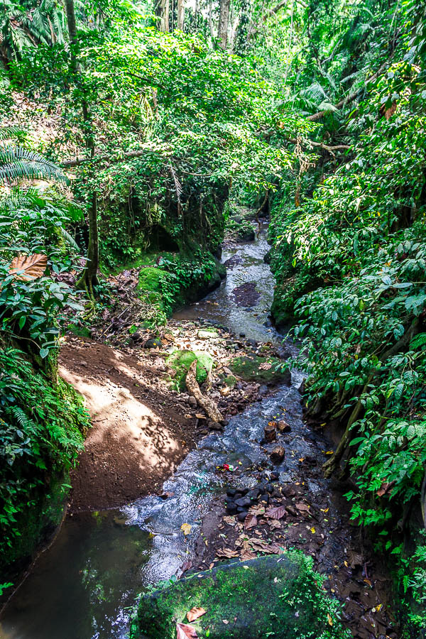 River at Monkey Forest Ubud, Bali