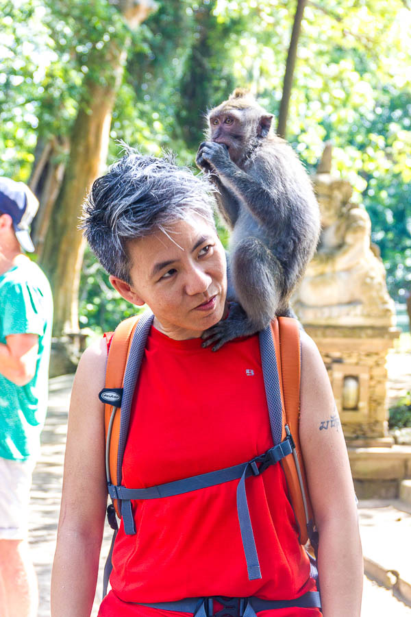 Monkey Forest Ubud, Bali