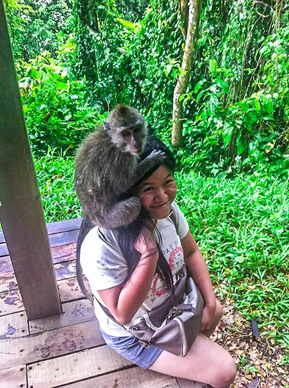 Attacked by monkey when visiting Monkey Forest Ubud, Bali