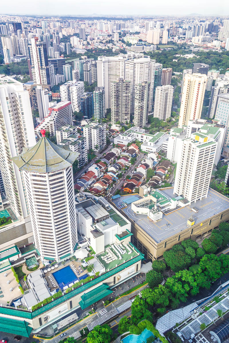 Ion Sky Orchard