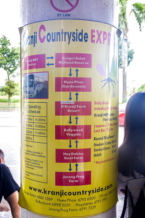Kranji Countryside shuttle bus to Sungei Buloh Wetland Reserve, Singapore