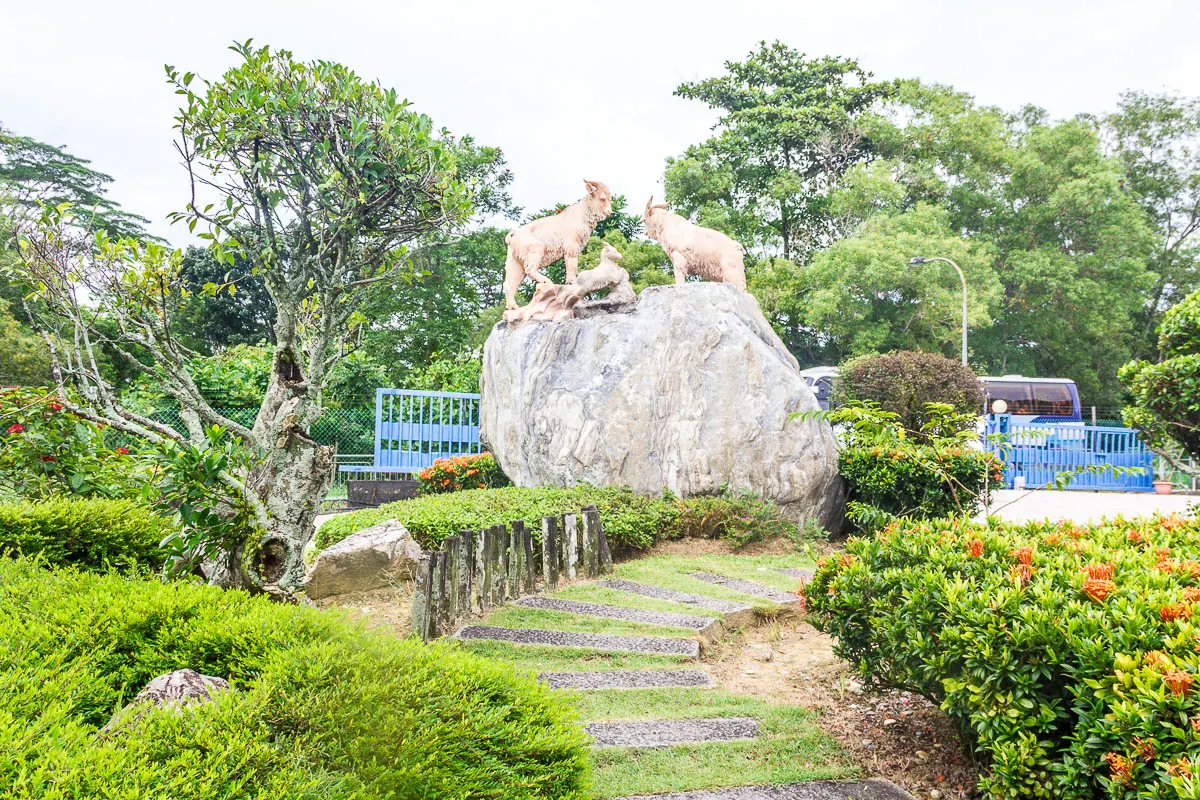 Hay Dairies Goat Farm at Kranji Countryside, Singapore