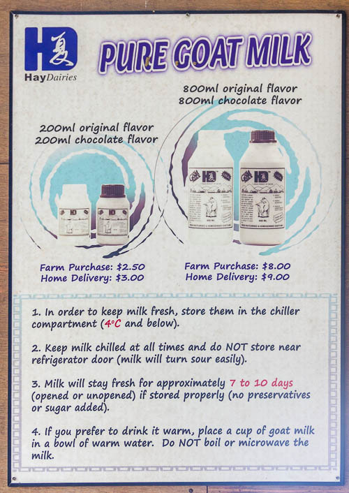 Buying Goat Milk at Hay Dairies Goat Farm, Kranji Countryside, Singapore