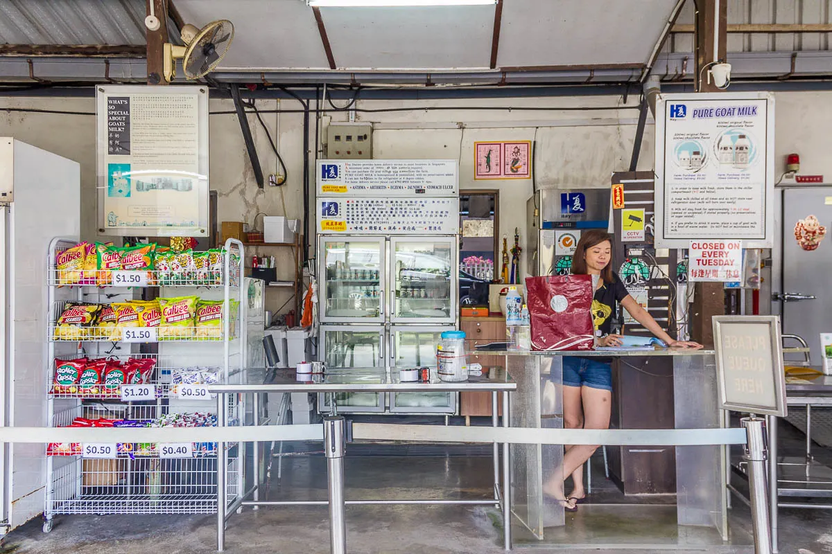 Buying Goat Milk at Hay Dairies Goat Farm, Kranji Countryside, Singapore