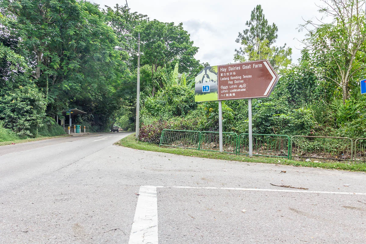 Bus stop and sign to Hay Dairies Goat Farm, Singapore