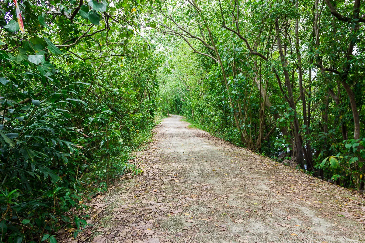 View of Migratory Bird Trail, Sungei Buloh Wetland Reserve, Kranji Countryside, Singapore
