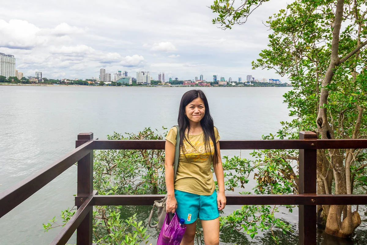Johor Bahru skyline at Migratory Bird Trail, Sungei Buloh Wetland Reserve, Kranji Countryside, Singapore