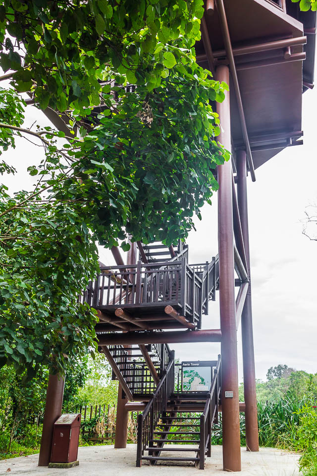 Aerie Tower at Migratory Bird Trail, Sungei Buloh Wetland Reserve, Kranji Countryside, Singapore