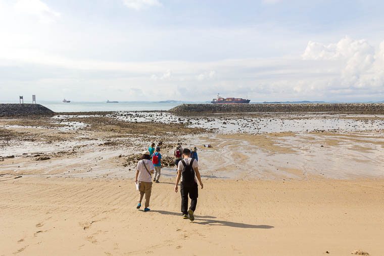 NParks Intertidal Guided Walk Sisters Island - May 2017