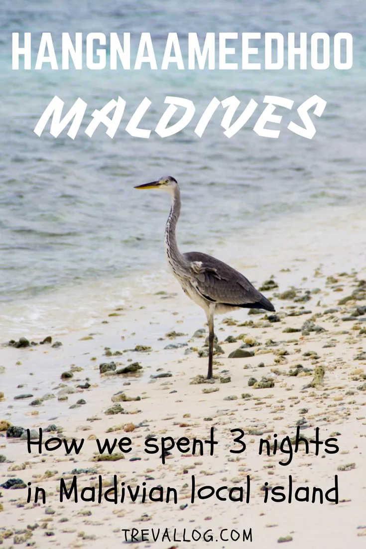 3 days and nights in Hangnaameedhoo, Maldives