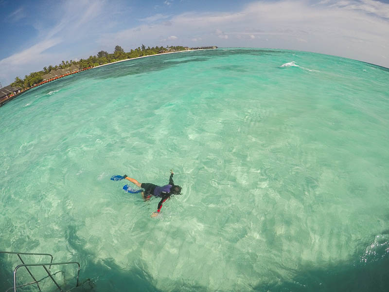 Olhuveli Beach & Spa Resort Maldives - Snorkelling