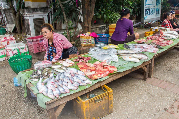 Luang Prabang Morning Market - raw fish
