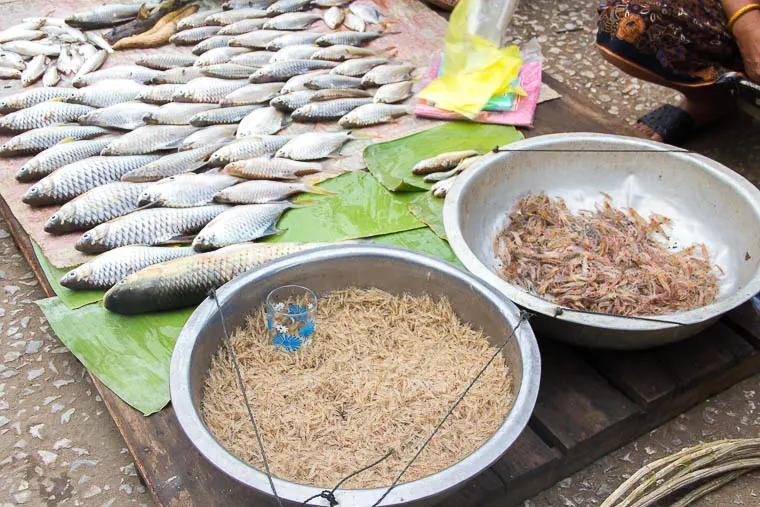 Luang Prabang Morning Market - raw fish and shrimps