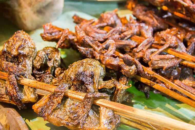 Luang Prabang Night Market food district - grilled frog