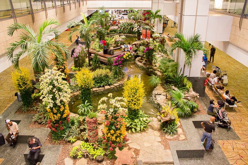 Things to Do in Changi Airport, Singapore - Terminal 2, Orchid Garden