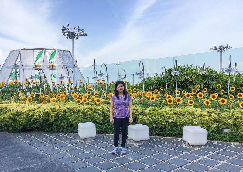 Things to Do in Changi Airport, Singapore - Terminal 2, Sunflower Garden