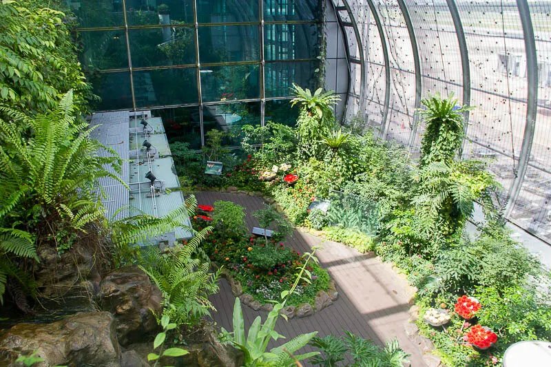 Things to Do in Changi Airport, Singapore - Terminal 3, Butterfly Garden 1