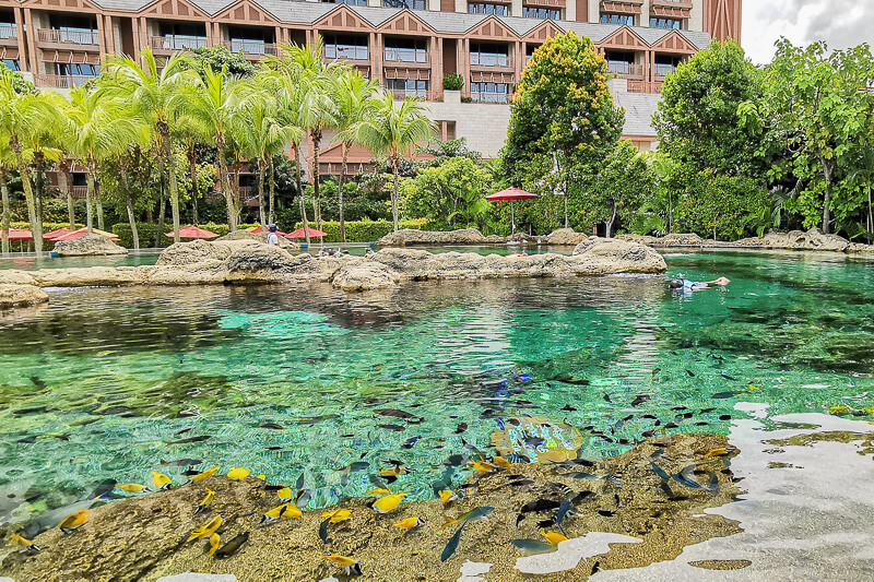 Adventure Cove - Rainbow Reef