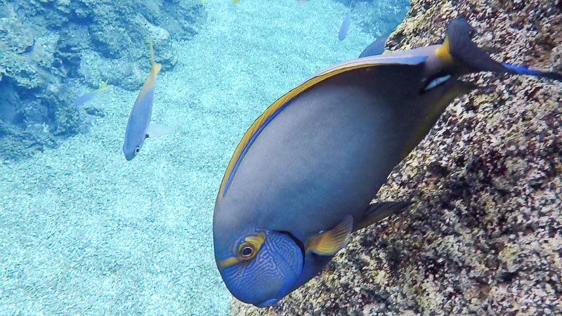 Adventure Cove Waterpark Singapore - Rainbow Reef