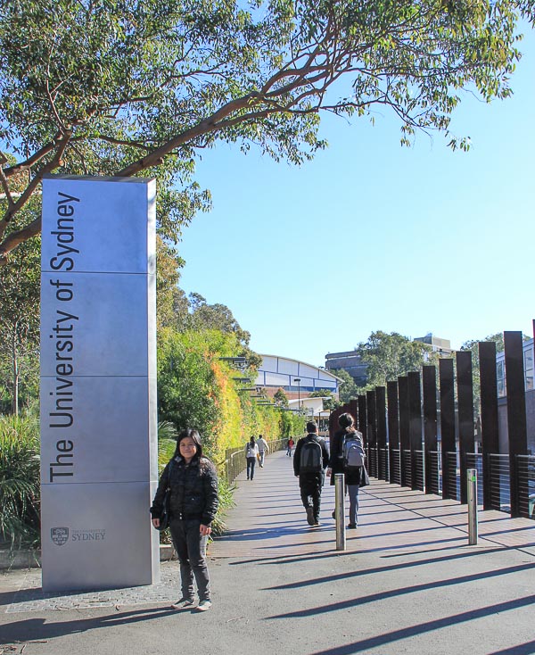 sydney university