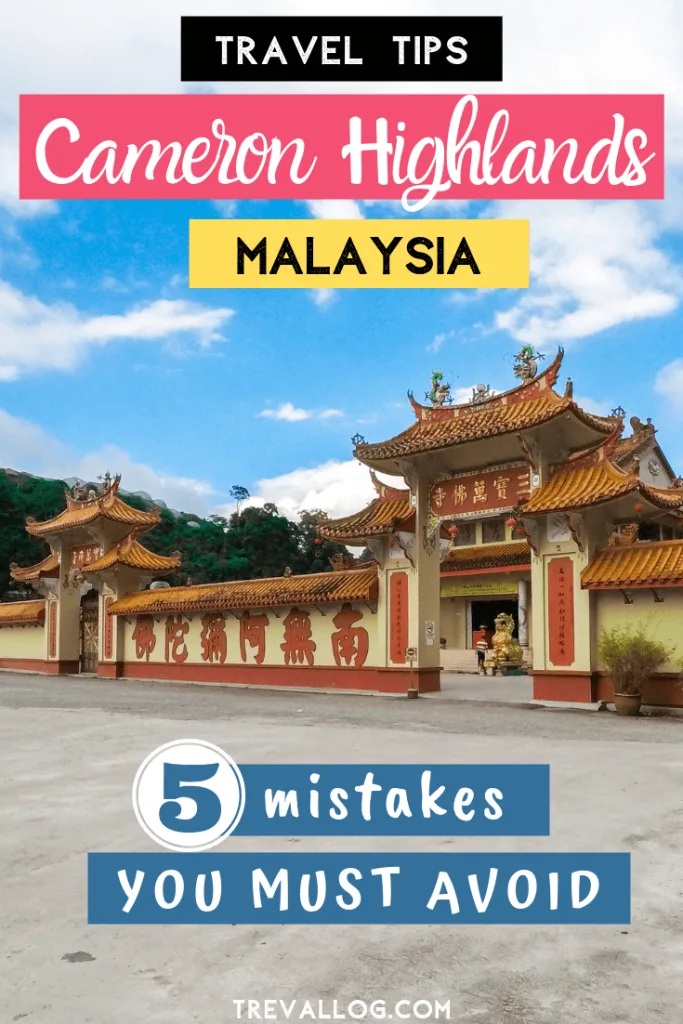 5 Mistakes to avoid in cameron highlands