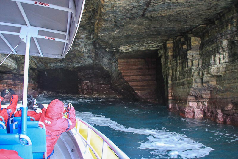 Tasman Island Cruises