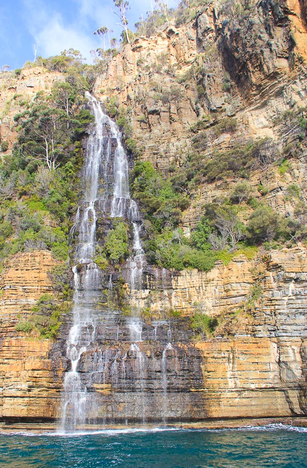 Tasman Island Cruises