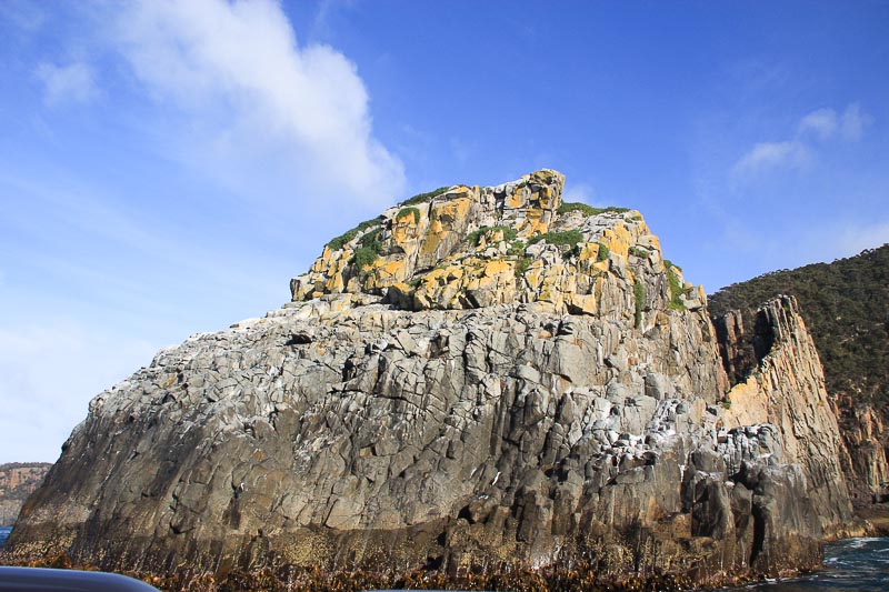 Tasman Island Cruises