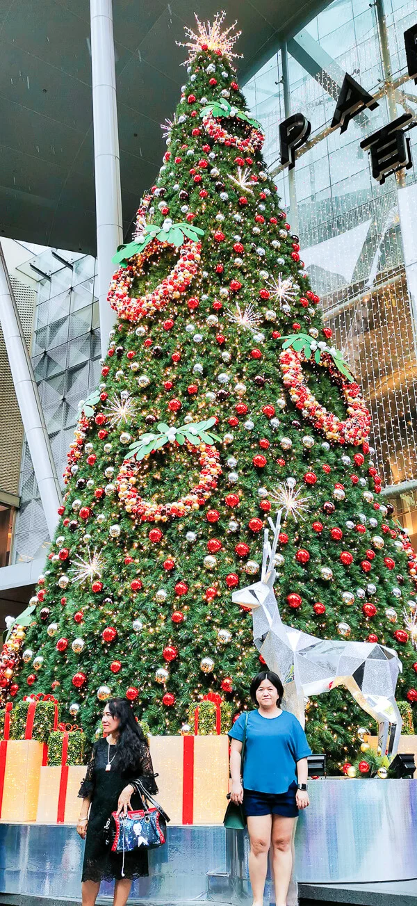 Christmas in Singapore - Orchard Road paragon