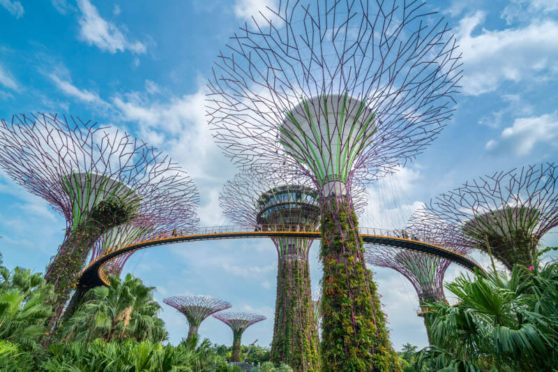 Awesome Places in Singapore You Can Visit for Free - SuperTree Grove at Gardens by the Bay