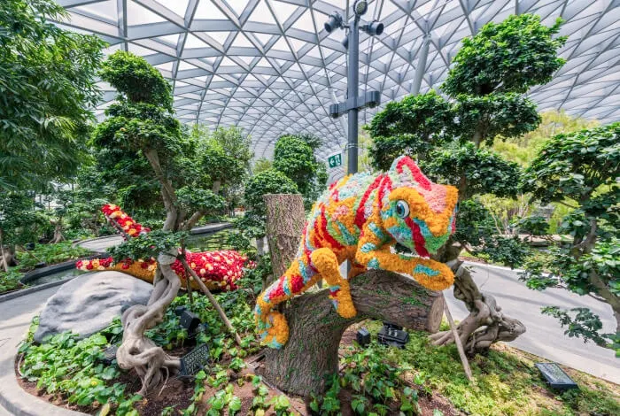 Jewel Changi Airport - Canopy Park - Topiary Walk