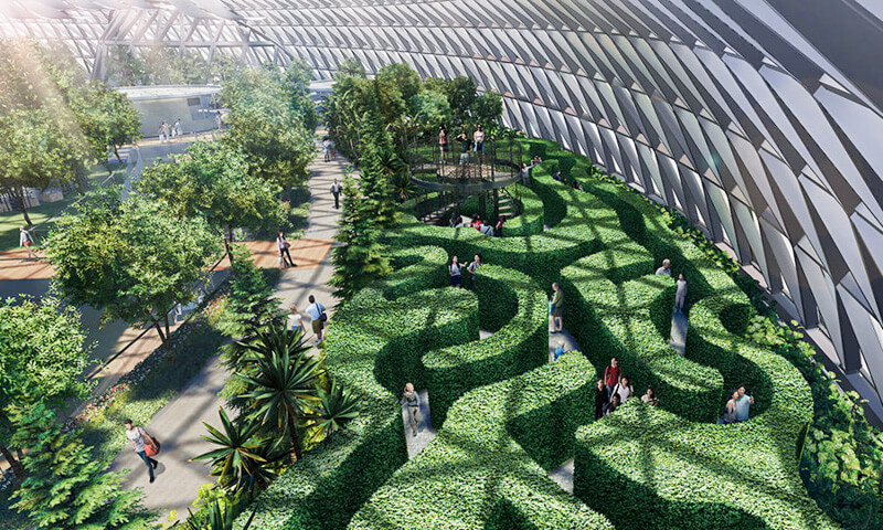 Jewel Changi Airport - Hedge Maze