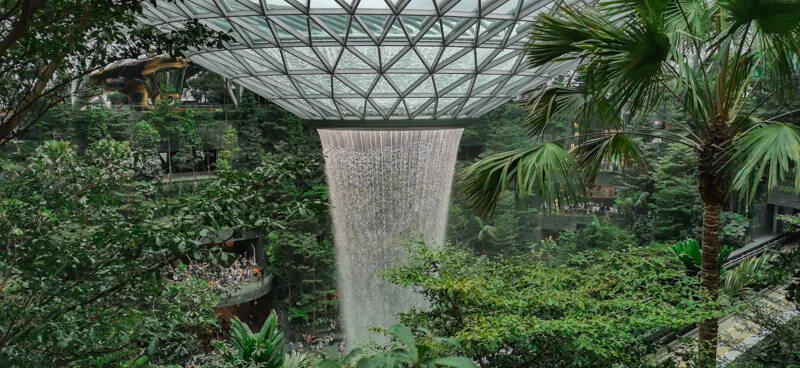 Jewel Changi Airport - Rain Vortex surrounded by Forest Valley
