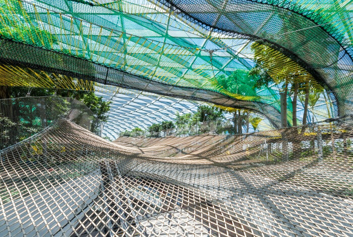 Jewel Changi Airport - Sky Net