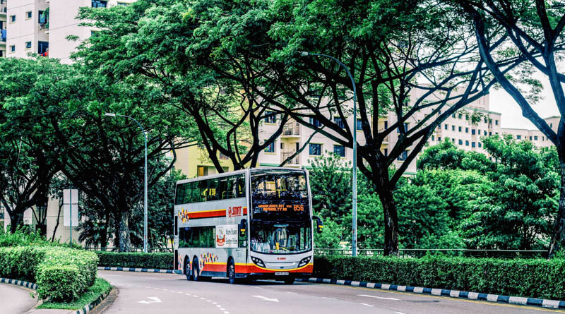 Getting Around Singapore with Bus