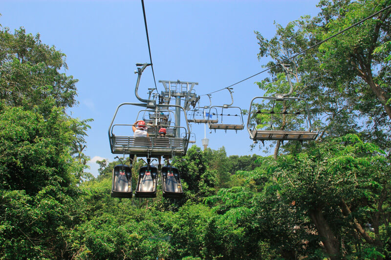 Skyline Luge & Skyride